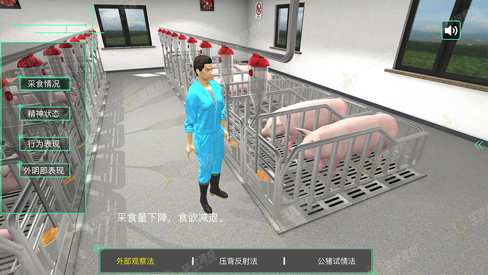 猪人工授精VR虚拟仿真实训系统
